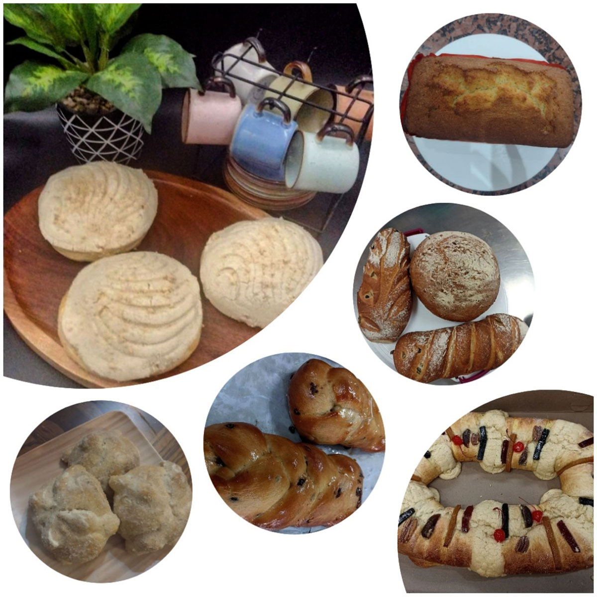PANADERIA-CORREGIDO